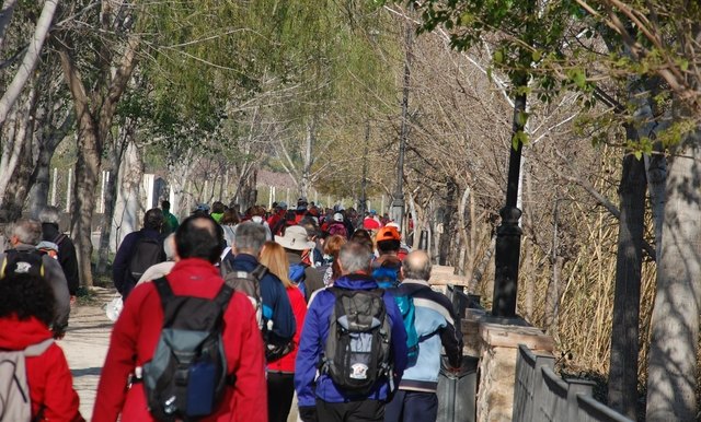 Floración y Solidaridad en Cieza