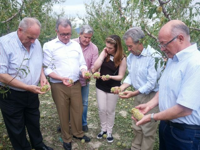 Visita zona afectada granizo en Cieza