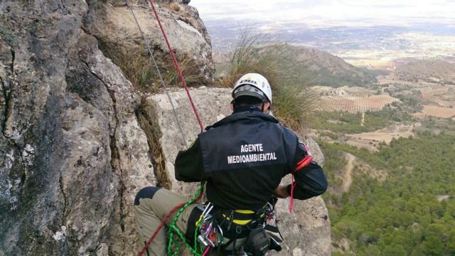 Medio Ambiente desmantela una vía ferrata en una zona sensible para las aves rapaces ubicada en la Sierra del Oro, en Cieza