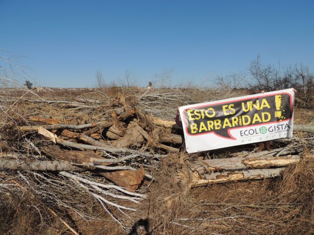 Denuncian la destrucción de una alameda en la Gurulla
