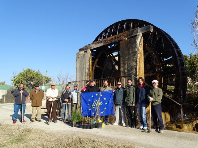 Propietarios de terrenos y voluntarios recuperan el bosque de ribera del Segura en Cieza