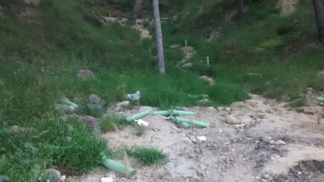 IU-Verdes denuncia la falta de mantenimiento y el abandono de las recientes reforestaciones en la Atalaya