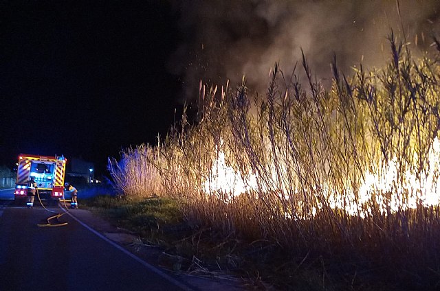 Bomberos apagan un incendio de cañas en la ribera del río Segura, en El Menjú