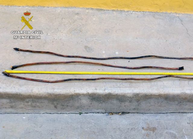 La Guardia Civil recupera cien metros de cable de cobre de la estación de tren de Cieza