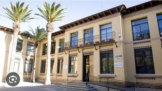 Suspendidas las clases este viernes en el Colegio Cristo del Consuelo por desprendimientos a causa del viento