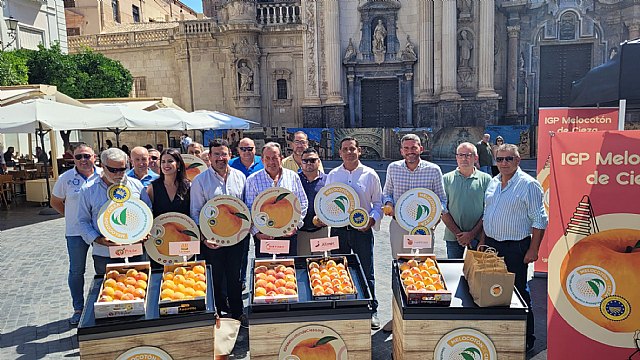 El alcalde respalda la campaña oficial de la IGP del Melocotón de Cieza