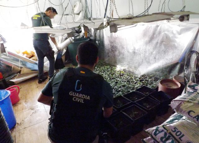 La Guardia Civil detiene a un peligroso delincuente por tenencia ilícita de armas y munición y desmantela una plantación de marihuana en su domicilio