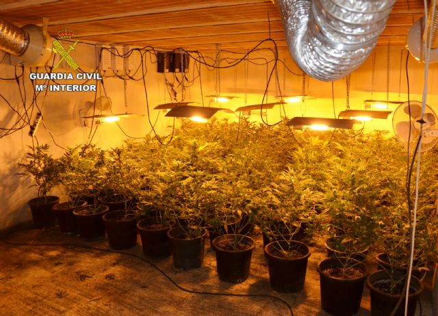 La Guardia Civil desmantela en una casa de campo de Cieza un invernadero subterráneo con 200 plantas de marihuana