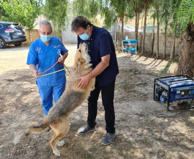 Saorín eleva al pleno una 'avanzada' ordenanza municipal de protección animal'