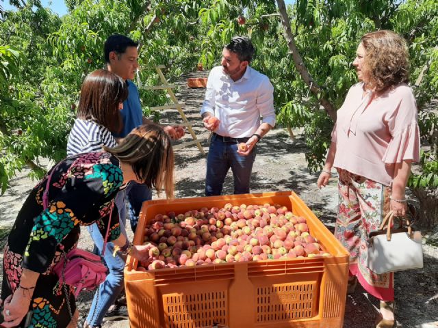 La Indicación Geográfica Protegida del ´Melocotón de Cieza´ obtiene la aprobación definitiva de la Unión Europea