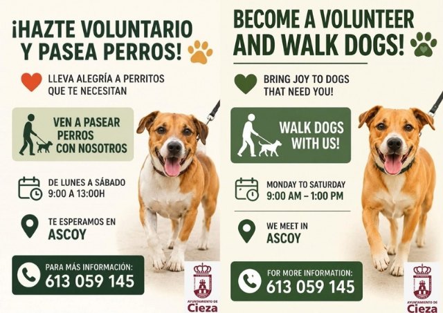 Hazte voluntario y pasea perros