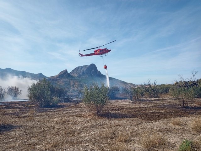 Incendio de vegetación junto al casco urbano de Cieza