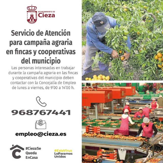 Elaboran una bolsa de trabajo para salvar la campaña de fruta