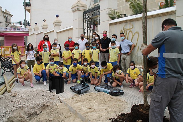 Conectando a los niños con los árboles