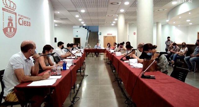 Pronunciamiento favorable del Pleno para la peatonalización del Paseo