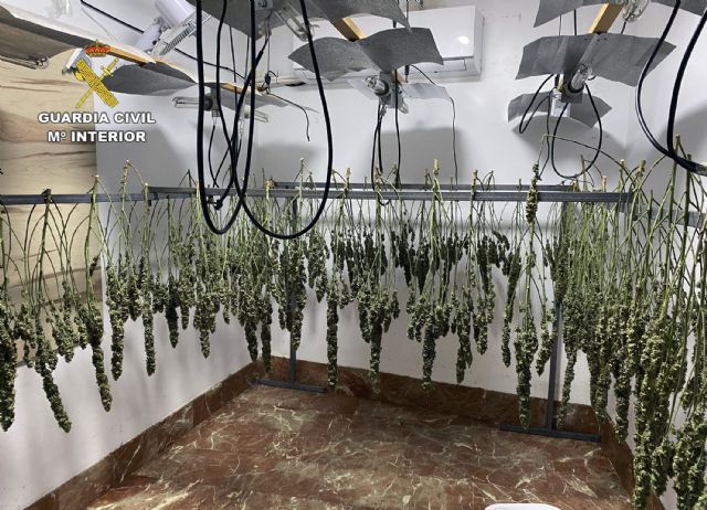 La Guardia Civil desmantela en Cieza un clan familiar dedicado al cultivo, elaboración y tráfico de droga