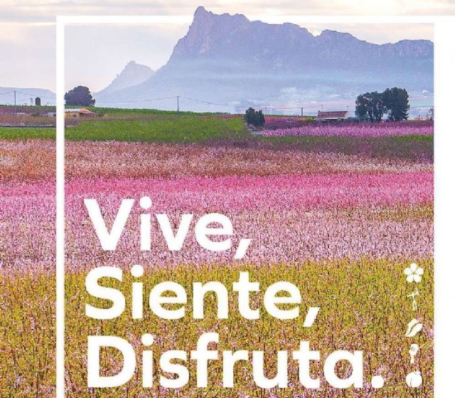 La programación municipal de Floración 2024 culmina este fin de semana con una apretada agenda