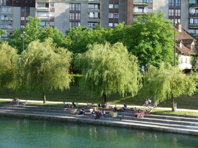 La FAO y Arbor Day Foundation reconocen a Cieza como Tree Cities of The World