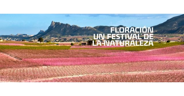 Análisis de los movimientos turísticos durante 'Floración 2023'