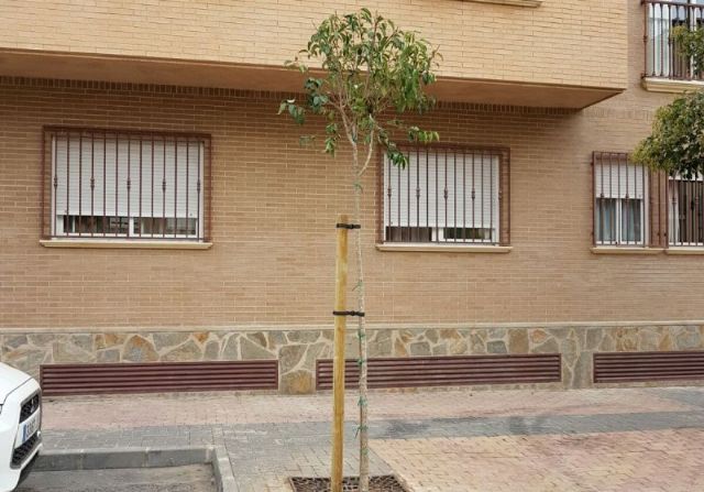 La Concejalía de Servicios informa de las reposiciones de arbolado realizadas y previstas para los meses de otoño e invierno
