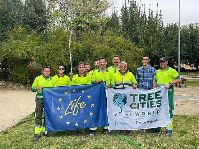 Cieza, reconocida por cuarto año consecutivo como municipio 'Tree Cities of the World' por su compromiso con la conservación del arbolado y la biodiversidad urbana