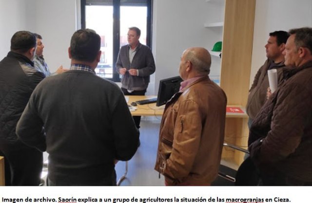 Saorín informa de tres solicitudes de licencia de obras para macro granjas porcinas