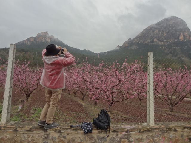 Economistas, graduados sociales y periodistas recorren la floración de Cieza