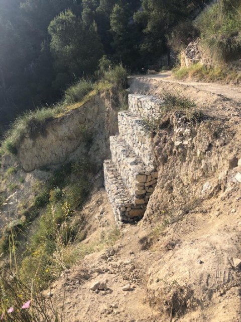 Concluyen los trabajos de repoblación forestal y corrección hidrológica en el monte de la Atalaya aprobados por el proceso de participación ciudadana