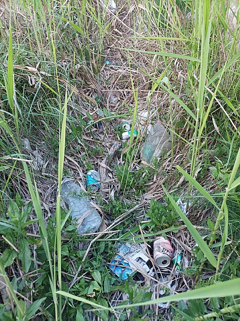 Actividad de limpieza y recogida de residuos en el barranco de Los Cabañiles a su paso por el núcleo urbano