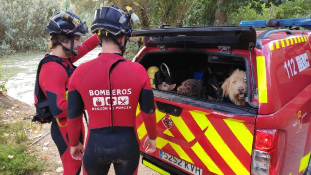 Rescatan a una mujer y su perro que habían caído al río en Cieza