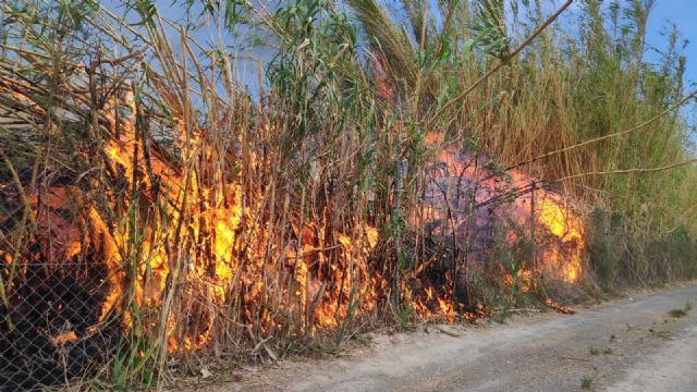 Efectivos adscritos al Plan Infomur se dirigen a un incendio de cañas y matorral en el margen del Río cerca de la presa del Río en Cieza