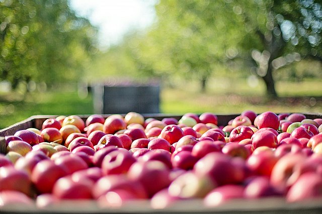 Podemos-Cieza celebra el fin de la venta a pérdidas en el campo