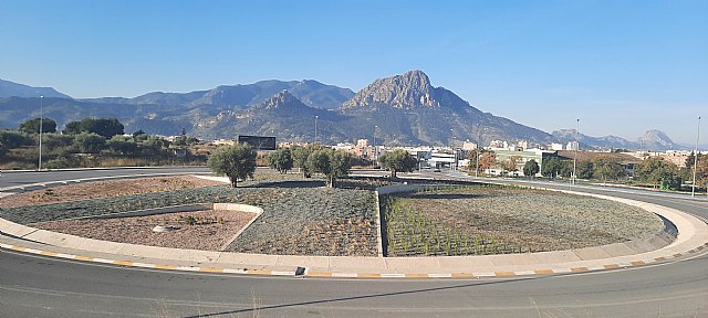 Aguas de Cieza y la Concejalía de Economía Circular adecuan la rotonda de entrada al municipio