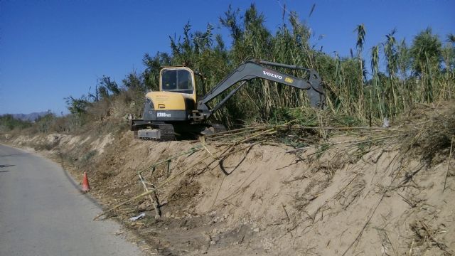 La Confederación Hidrográfica del Segura recupera el bosque de ribera en el paraje de La Barratera de Cieza