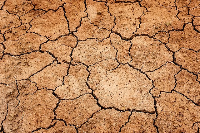 El Ayuntamiento informa sobre el paquete de medidas urgentes de apoyo al sector agrario frente a la sequía