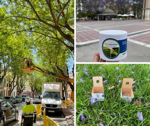 La Concejalía de Economía Circular y Aguas de Cieza ponen en marcha la campaña de control biológico de plagas