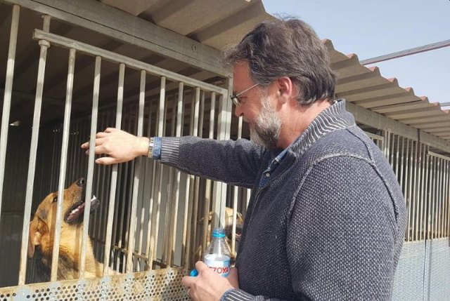 Pautas de actuación con relación a las mascotas en el marco del estado de alarma