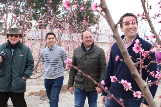 Pedro Antonio Sánchez: 'La agricultura es un sector generador de empleo, de futuro y de localización de inversiones'