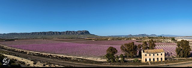 Cieza consigue la Vía Verde de la Floración