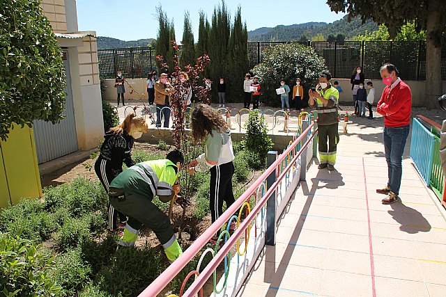 El alcalde asiste al acto del Día del Árbol organizado por la Concejalía de Medio Ambiente