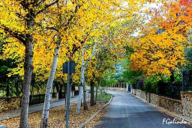 El Paseo Ribereño, entre los 6 nuevos Senderos Azules de la Región de Murcia