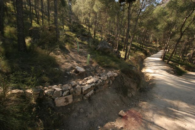 Medio Ambiente finaliza las actuaciones de recuperación ambiental en el sendero Zig Zag del Cerro de La Atalaya en Cieza