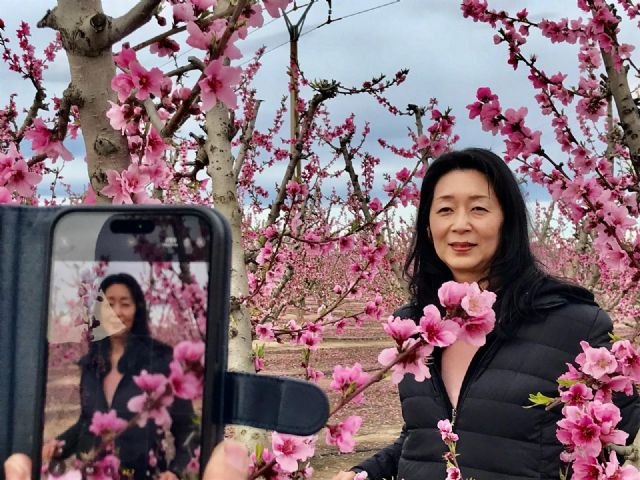 España en Floración organiza una visita a las floraciones del almendro y melocotón de Mula y Cieza para atraer a los turistas japoneses