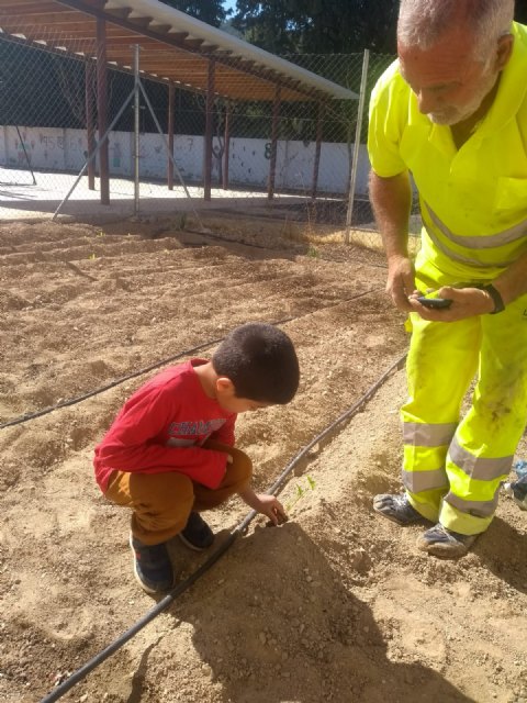 El huerto escolar del Colegio La Era San Bartolomé se reactiva gracias al voluntariado de mayores