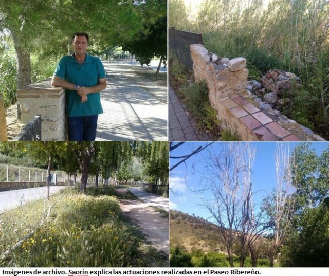 Saorín acusa al concejal de Cs, Óscar Verdejo, de 'volver a mentir', ahora con motivo del Paseo Ribereño