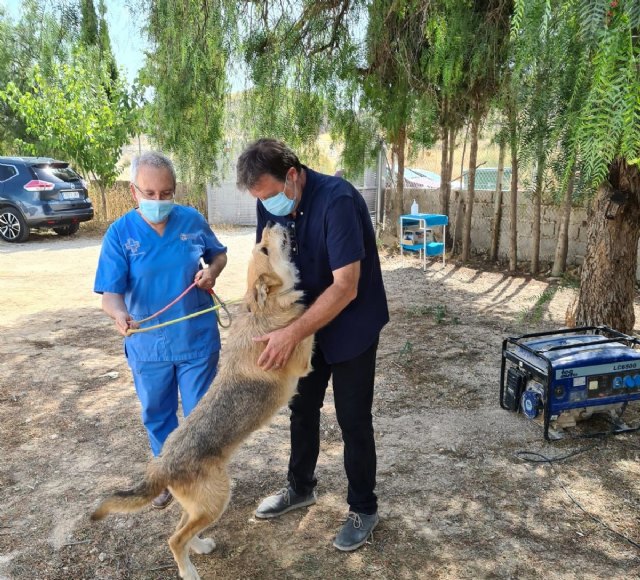 Saorín: 'Las mascotas vuelven al centro de acogida de animales'