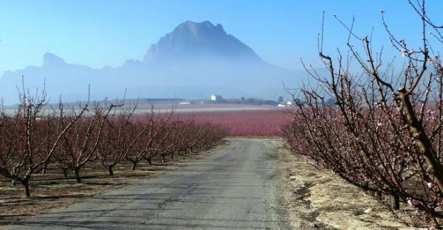 Tercera convocatoria de mejora de caminos rurales