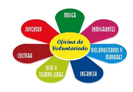 Actividades sobre discapacidad y voluntariado