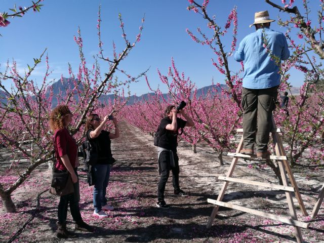 La Comunidad promociona la floración de Cieza