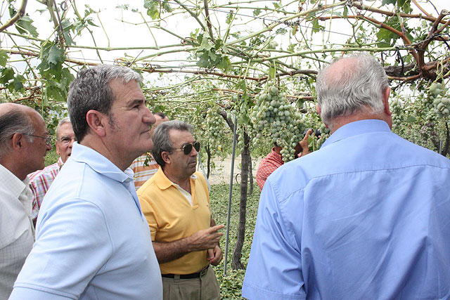 El consejero de Agricultura y Agua, Antonio Cerdá, (derecha), y Santiago Martínez, representante de la organización agraria FECOAM, observan los daños sufridos en unos cultivos de Cieza